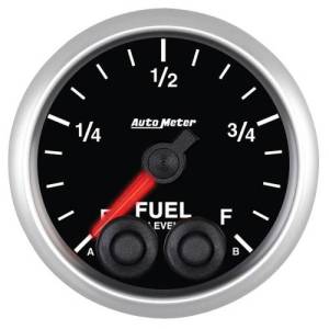 Body - Fuel Level Gauge
