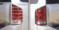 Titan Stainless Tail Light Guards