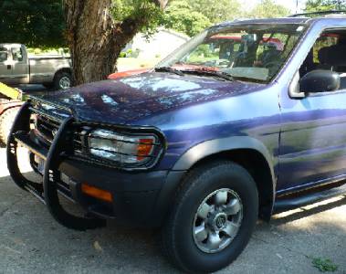 Pathfinder Grille/Brush Guard