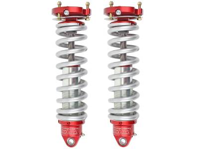 RaceRunner Coil Overs