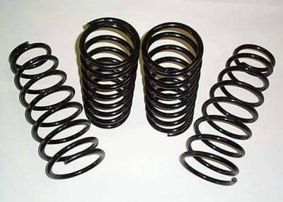 4X4 Parts - 4x4 Parts Pathfinder Rear Lift Coils
