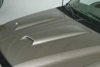 Medium Hood Scoop