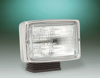 Stainless Flood Light