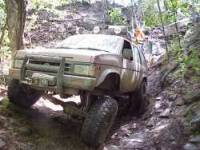 Nissan Pathfinder - Darryl Krapf