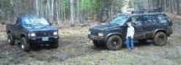 Nissan Pathfinder - Shad