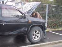 Nissan Pathfinder - suu