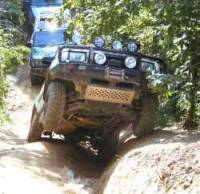 Nissan Xterra - Carlton McMillan