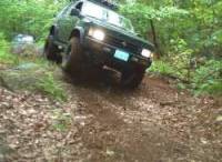 Nissan Pathfinder - Shad