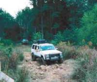 Nissan  - Matt Bachman