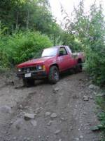 Nissan Hardbody - rowan