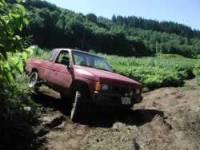 Nissan Hardbody - rowan