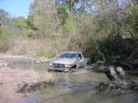 Nissan Hardbody - Matt Clayton