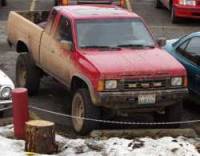 Nissan Hardbody - David Shourd