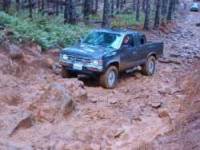 Nissan Hardbody - 