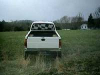 Nissan Hardbody - SHANE