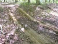 Nissan Pathfinder - martin