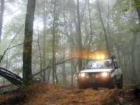 Nissan Xterra - Carlton McMillan