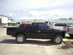 Nissan Hardbody - Black Hardbody