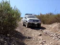 Nissan Pathfinder - Sonny