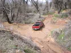 Nissan Hardbody - michael