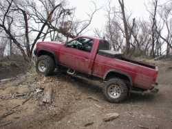 Nissan Hardbody - michael