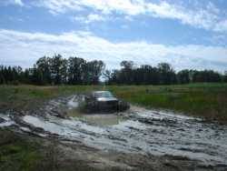 Nissan Hardbody - Roger z