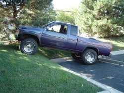 Nissan Hardbody - Butch