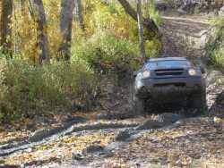 Nissan Xterra - Blair