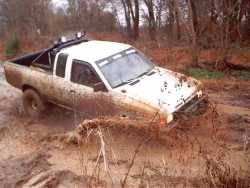 Nissan Hardbody - Robert Riggs