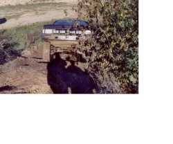 Nissan Frontier - Hyaene