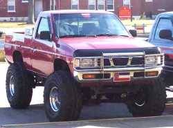 Nissan Hardbody - RiNgO