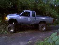 Nissan Hardbody - kaupono1