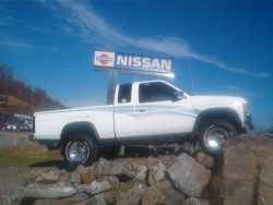 Nissan Hardbody - Ernie