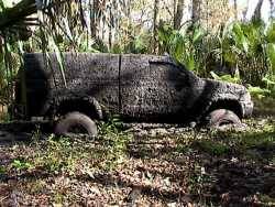 Nissan Frontier - Matrixticity