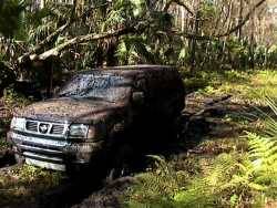 Nissan Frontier - Matrixticity