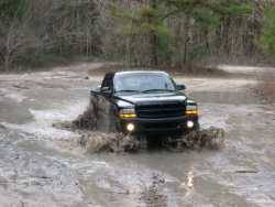 Nissan  - matt warfel