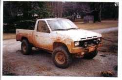 Nissan Hardbody - Robbie