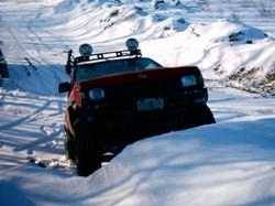 Nissan Hardbody - john foran