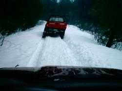 Nissan Hardbody - john foran