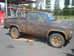 Nissan Hardbody - Mike Chung