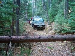 Nissan Hardbody - Drew