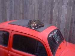 Nissan  - LeftHandedMonkeyWrench