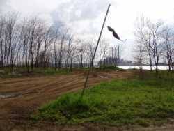 Nissan  - LeftHandedMonkeyWrench