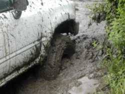 Nissan  - anthony carpenter