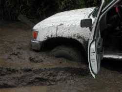 Nissan  - anthony carpenter