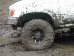 Nissan  - anthony carpenter