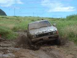 Nissan Hardbody - Lou