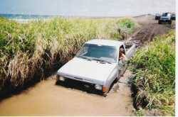 Nissan Hardbody - Lou