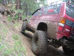 Nissan Pathfinder - nissan