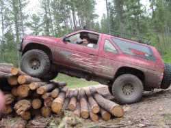 Nissan Pathfinder - nissan